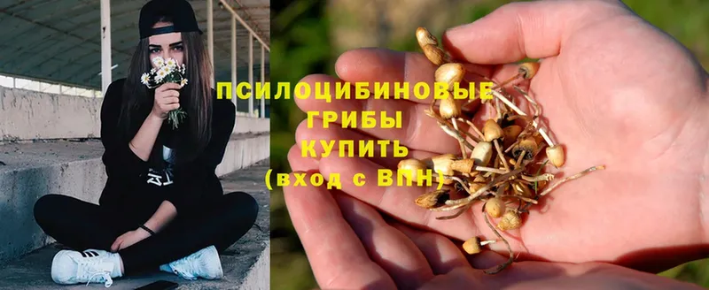 Псилоцибиновые грибы Magic Shrooms  Куса 